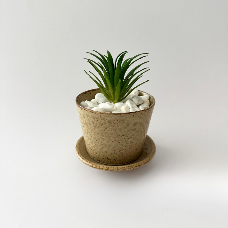 Planter & Saucer Set