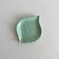 Leaf-Shaped Plate
